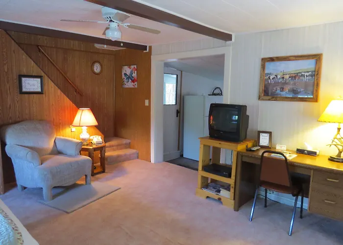 Motel The Pines Country